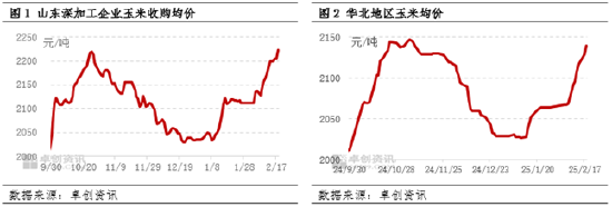 玉米：华北市场卖压减轻 价格或仍存上涨空间